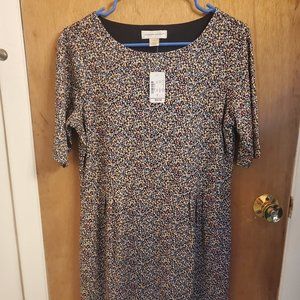 Christopher & banks small dress